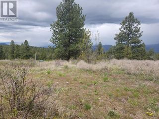 Photo 10: 1375 Bullmoose Way in Osoyoos: Vacant Land for sale : MLS®# 10310061