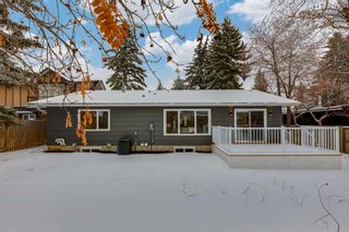 Photo 49: 507 Willow Brook Drive SE in Calgary: Willow Park Detached for sale : MLS®# A2106706