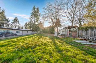 Photo 24: 6185 181A Avenue in Surrey: Cloverdale BC House for sale (Cloverdale)  : MLS®# R2877937