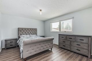 Photo 12: 4531 43 Street NE in Calgary: Whitehorn Detached for sale : MLS®# A2077524