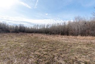 Photo 16: 50251 Rge. Rd. 25 in Rural Vermilion River, County of: Rural Vermilion River County Residential Land for sale : MLS®# A2107926