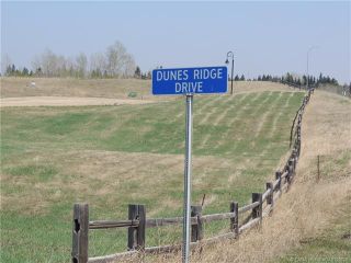 Photo 1: 503 Dunes Ridge Drive: Rural Ponoka County Land for sale : MLS®# CA0129828