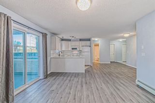 Photo 15: 208 20 Country Hills View NW in Calgary: Country Hills Apartment for sale : MLS®# A2019946