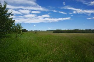 Photo 14: TWP 604 and RR 122: Rural St. Paul County Rural Land/Vacant Lot for sale : MLS®# E4120912