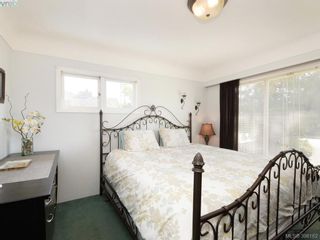 Photo 9: 636 McKenzie Ave in VICTORIA: SW Glanford House for sale (Saanich West)  : MLS®# 796547