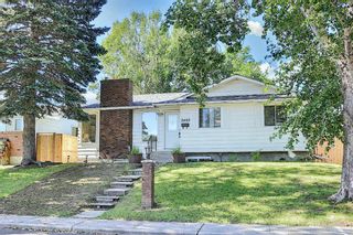 Photo 42: 3403 48 Street NE in Calgary: Whitehorn Detached for sale : MLS®# A1142698