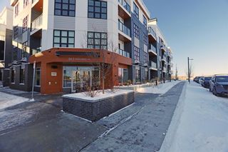 Photo 5: 225 383 Smith Street NW in Calgary: University District Apartment for sale : MLS®# A2011296