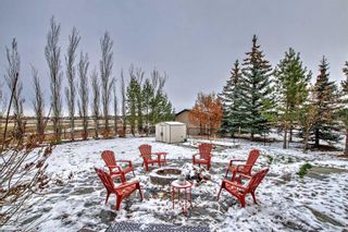 Photo 44: 38 Billy Haynes Trail: Okotoks Detached for sale : MLS®# A2118183