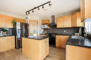Photo 18: 188 Bellflower Road in Winnipeg: Bridgwater Forest Residential for sale (1R)  : MLS®# 202222502