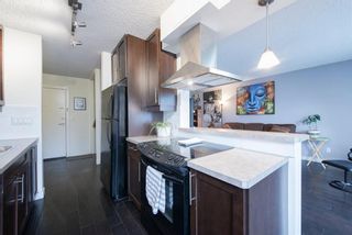 Photo 11: 302 4455C Greenview Drive NE in Calgary: Greenview Apartment for sale : MLS®# A1196742