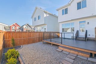 Photo 31: 65 Seton Terrace SE in Calgary: Seton Semi Detached (Half Duplex) for sale : MLS®# A2005503