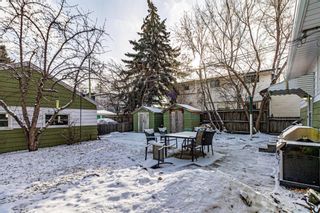 Photo 6: 3206 29 Street SW in Calgary: Killarney/Glengarry Detached for sale : MLS®# A1242375