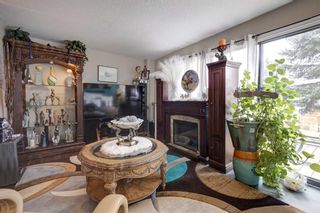 Photo 22: 209 Aboyne Place NE in Calgary: Abbeydale Semi Detached (Half Duplex) for sale : MLS®# A2080878