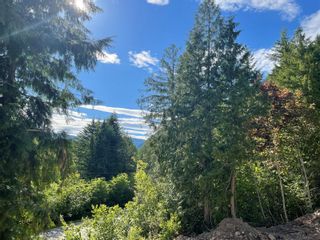 Photo 5: 54 Old Town Road, in Sicamous: Vacant Land for sale : MLS®# 10256658