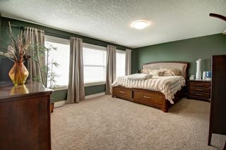 Photo 23: 9 Goddard Circle: Carstairs Detached for sale : MLS®# A2050876