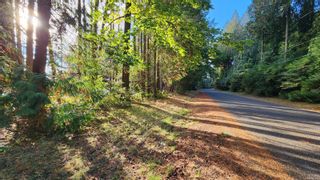 Photo 3: Lot 4 & 5 Inverness Rd in North Saanich: NS Ardmore Land for sale : MLS®# 945901