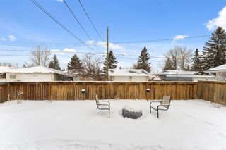 Photo 26: 532 Blackthorn Green NE in Calgary: Thorncliffe Detached for sale : MLS®# A1169661