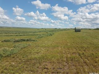 Photo 4: 1,360 Acres Willow Bunch (Beck & Thompson) in Willow Bunch: Farm for sale (Willow Bunch Rm No. 42)  : MLS®# SK923344