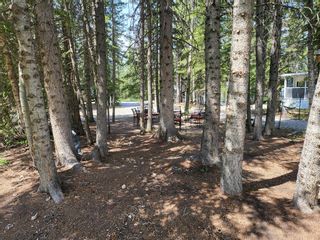 Photo 7: 2 Timber Ridge: Rural Mountain View County Residential Land for sale : MLS®# A2037882
