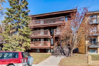 Main Photo: 302 534 20 Avenue SW in Calgary: Cliff Bungalow Apartment for sale : MLS®# A1210060