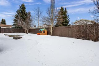 Photo 36: 71 Scenic Cove Place NW in Calgary: Scenic Acres Detached for sale : MLS®# A1173488
