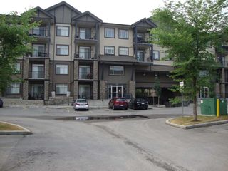 Photo 1: 320 117 Copperpond Common SE in Calgary: Copperfield Apartment for sale : MLS®# A2068220