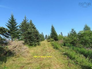 Photo 24: Highway 4 in Soldiers Cove: 305-Richmond County / St. Peters Vacant Land for sale (Highland Region)  : MLS®# 202310104