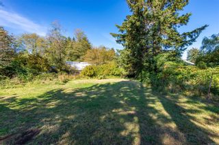 Photo 34: 3908 S Island Hwy in Campbell River: CR Campbell River South House for sale : MLS®# 916061