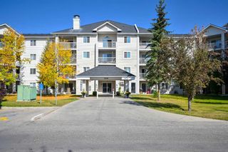 Main Photo: 2318 6224 17 Avenue SE in Calgary: Red Carpet Apartment for sale : MLS®# A2082874