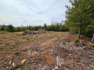 Photo 18: Lot 11 Kingfisher Lane in First South: 405-Lunenburg County Vacant Land for sale (South Shore)  : MLS®# 202309138