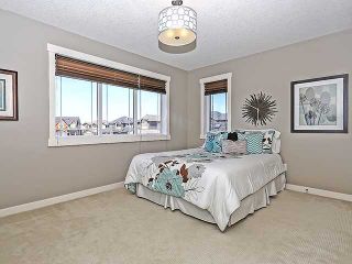 Photo 12: 114 CHAPALA Point(e) SE in Calgary: Chaparral House for sale : MLS®# C3652360