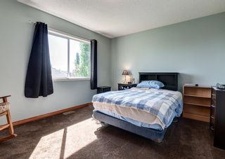 Photo 16: 127 Chapman Circle SE in Calgary: Chaparral Detached for sale : MLS®# A1242854