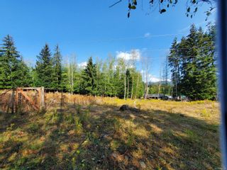 Photo 40: 3080 Michelson Rd in Sooke: Sk Otter Point House for sale : MLS®# 930324