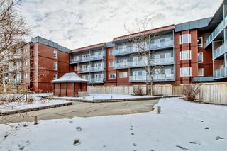 Main Photo: 118 333 Garry Crescent NE in Calgary: Greenview Apartment for sale : MLS®# A2019442