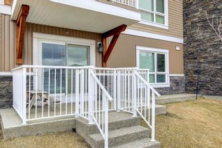 Photo 13: 4116 302 Skyview Ranch Drive NE in Calgary: Skyview Ranch Apartment for sale : MLS®# A1205113