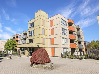 Photo 8: 324 12085 228 Street in Maple Ridge: East Central Condo for sale : MLS®# R2880446