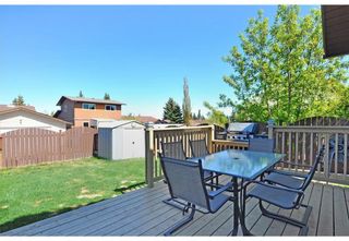 Photo 27: 119 Bedwood Bay NE in Calgary: Beddington Heights Detached for sale : MLS®# A2028643