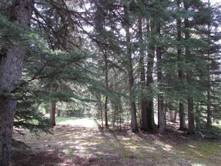 Photo 7: 127, 5241 TWP Rd 325A: Rural Mountain View County Land for sale : MLS®# C4299936