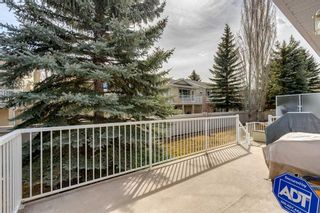Photo 37: 22 Mt Alberta Manor SE in Calgary: McKenzie Lake Detached for sale : MLS®# A2123169
