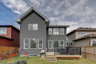 Photo 42: 71 Legacy Row SE in Calgary: Legacy Detached for sale : MLS®# A1217510