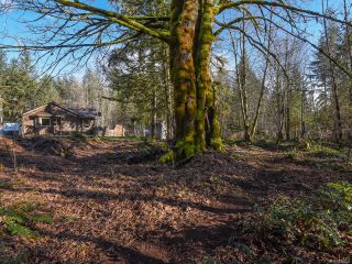 Photo 39: 3699 Burns Rd in COURTENAY: CV Courtenay West House for sale (Comox Valley)  : MLS®# 834832