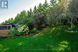 Photo 39: 378 SPILLSBURY DR in Peterborough: House for sale : MLS®# X7008174