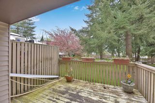 Photo 19: 87 13766 103 Avenue in Surrey: Whalley Townhouse for sale in "Meadows" (North Surrey)  : MLS®# R2678147
