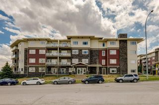 Photo 23: 407 11 MILLRISE Drive SW in Calgary: Millrise Apartment for sale : MLS®# A1108723