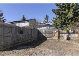 Photo 7: 3440 56 Street NE in Calgary: Temple House for sale : MLS®# C4004202