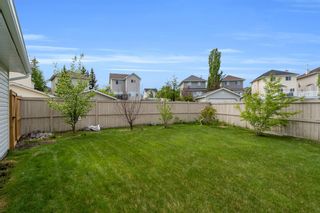 Photo 41: 133 Bridleglen Road SW in Calgary: Bridlewood Detached for sale : MLS®# A2050590