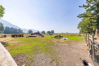 Photo 7: 39839 WELLS LINE Road in Abbotsford: Sumas Prairie House for sale : MLS®# R2722816