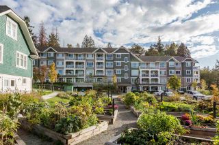Photo 19: 314 16388 64 Avenue in Surrey: Cloverdale BC Condo for sale in "The Ridge at Bose Farms" (Cloverdale)  : MLS®# R2213779
