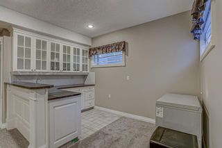 Photo 41:  in Calgary: Royal Oak Detached for sale : MLS®# A1083162