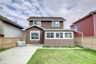 Photo 49: 8 Martha's Meadow Place NE in Calgary: Martindale Detached for sale : MLS®# A1257985